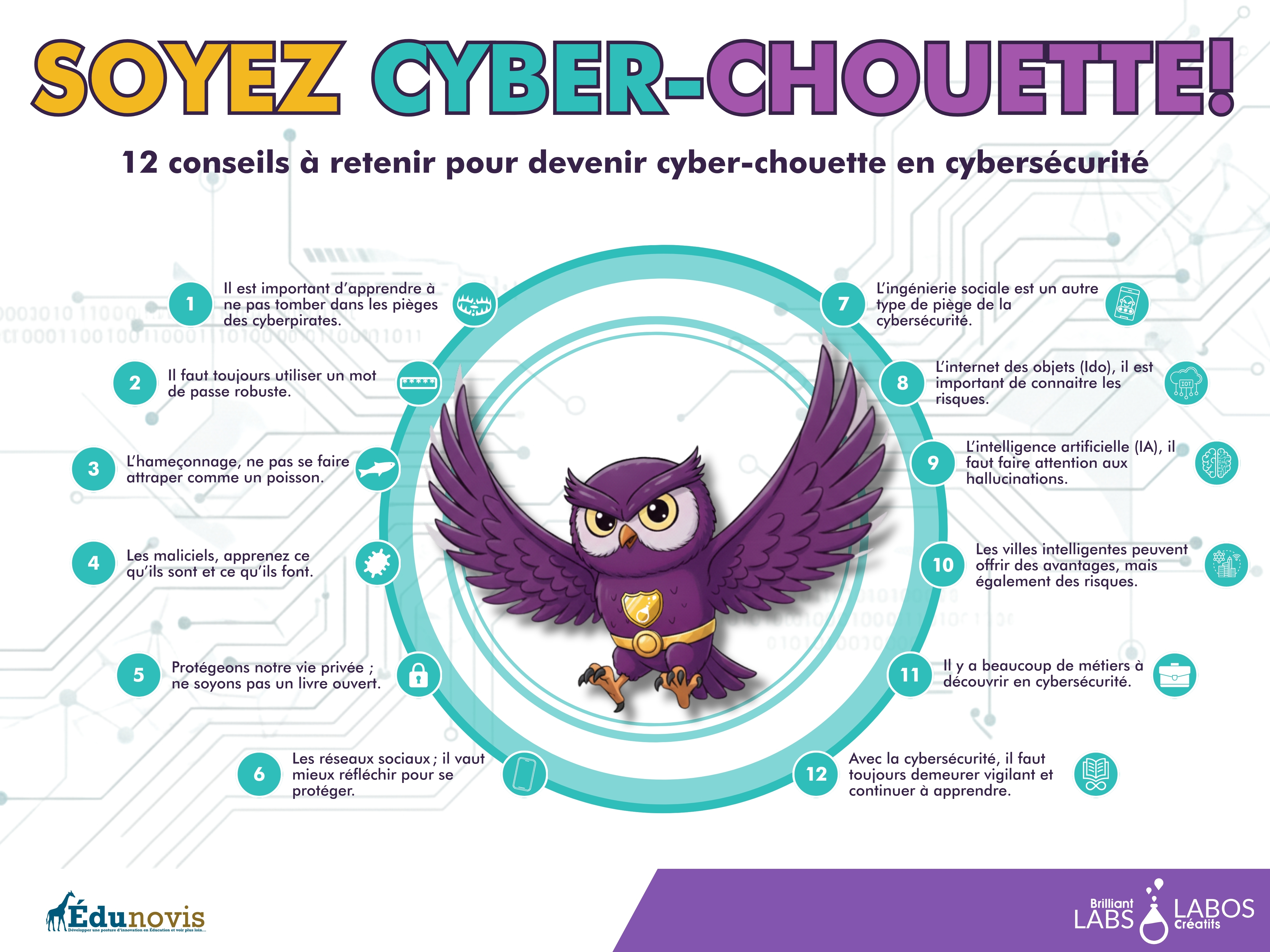 12 conseils horizontale image miniature de l'affiche