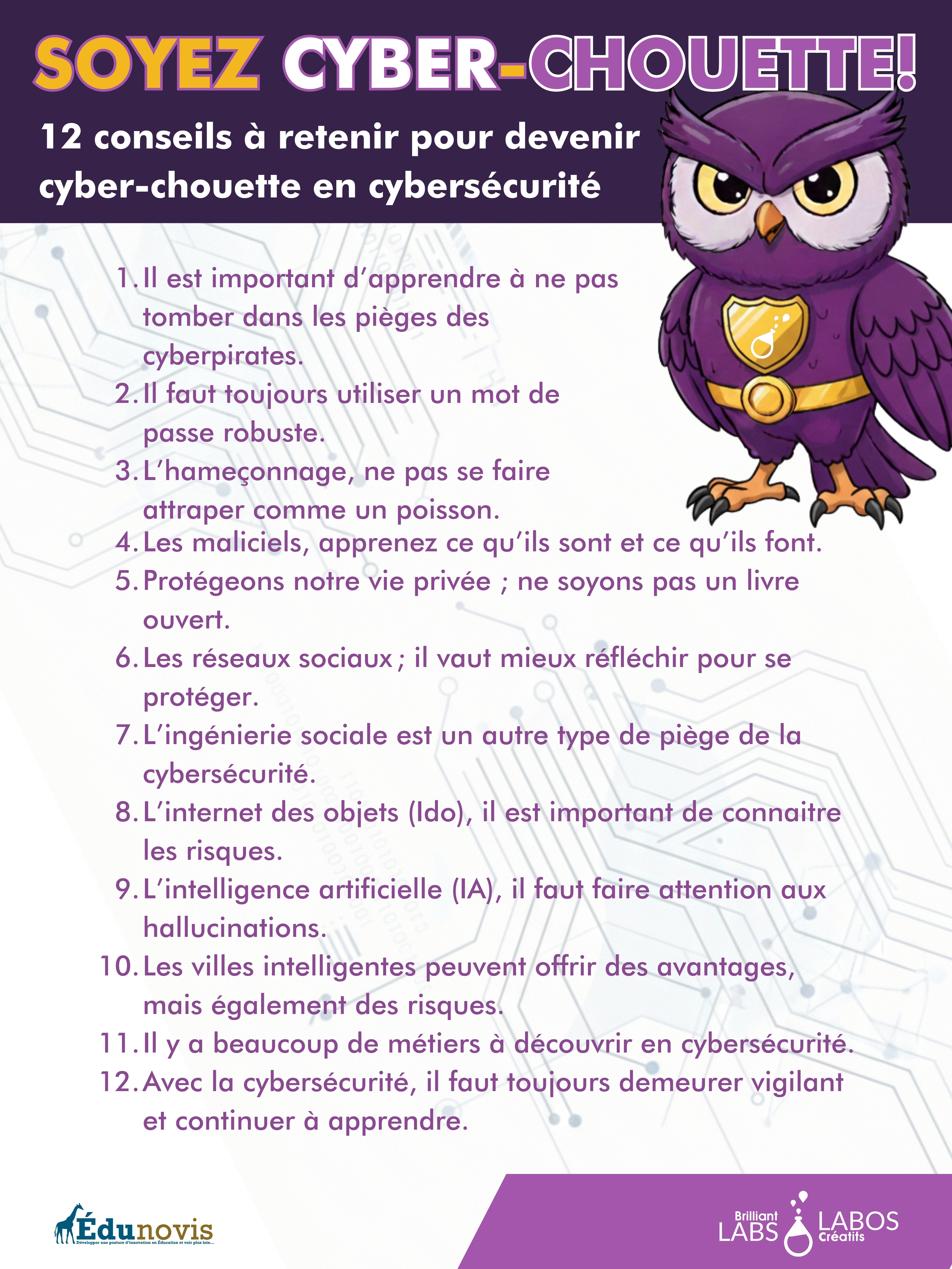 Affiche 12 conseils verticale image miniature