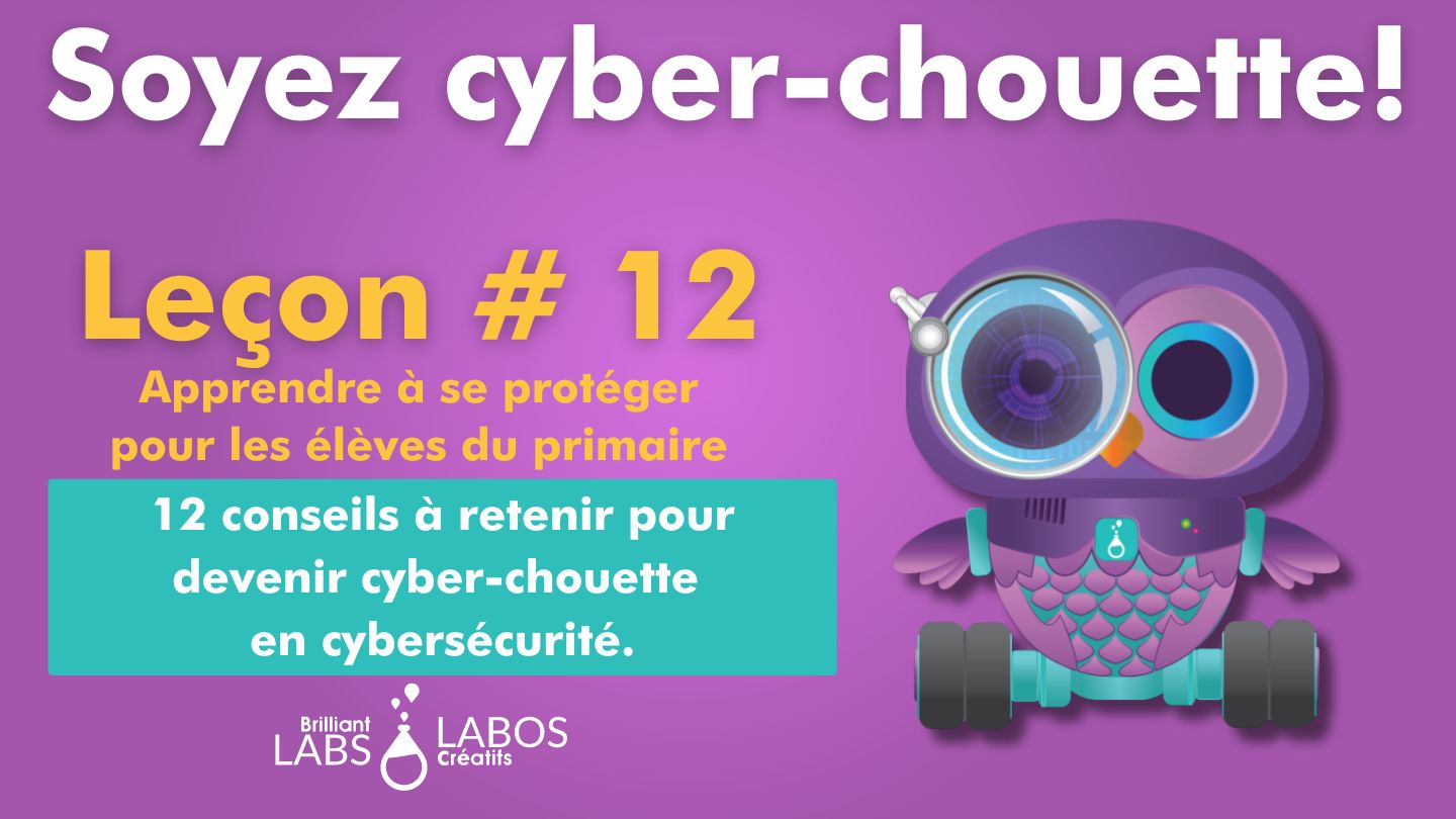 Vignette du document de l'activité 12 de la cybersécurité