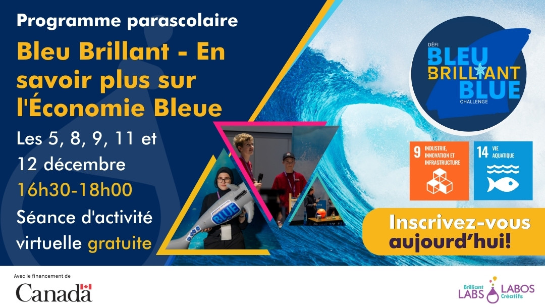 Programme virtuel Bleu Brillant