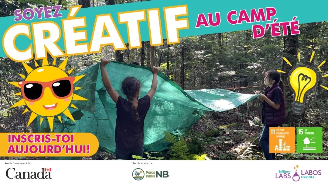 Image de présentation du camp d'été Parc de la République